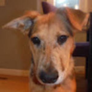 Meet your Posher, Hamden